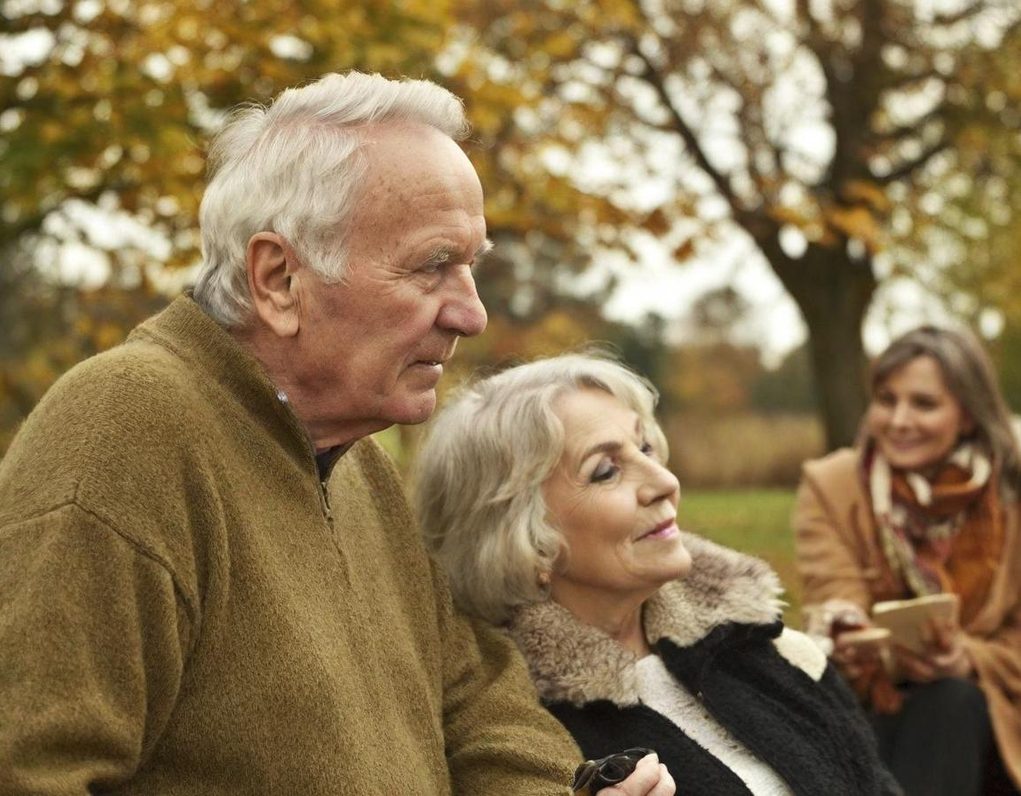 Senioren sitzen gemeinsam im Park und bleiben geistig aktiv